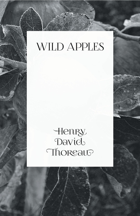 Cover image for book Wild Apples