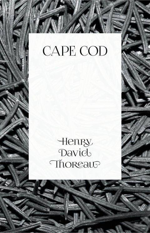 Cover image for book Cape Cod