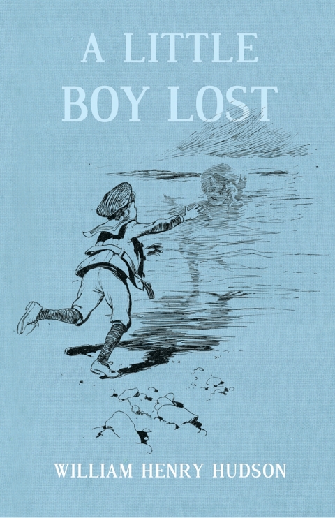 Cover image for book A Little Boy Lost