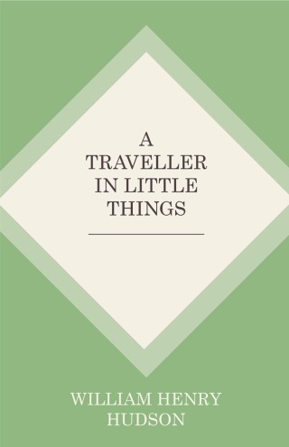 A Traveller in Little Things