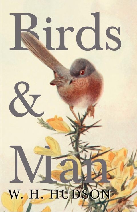 Cover image for book Birds and Man