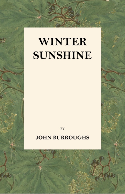 Cover image for book Winter Sunshine