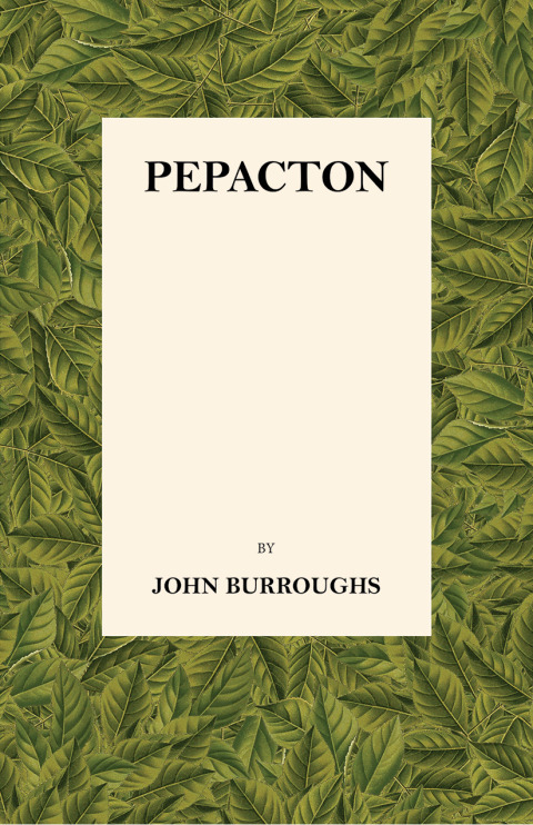 Cover image for book Pepacton
