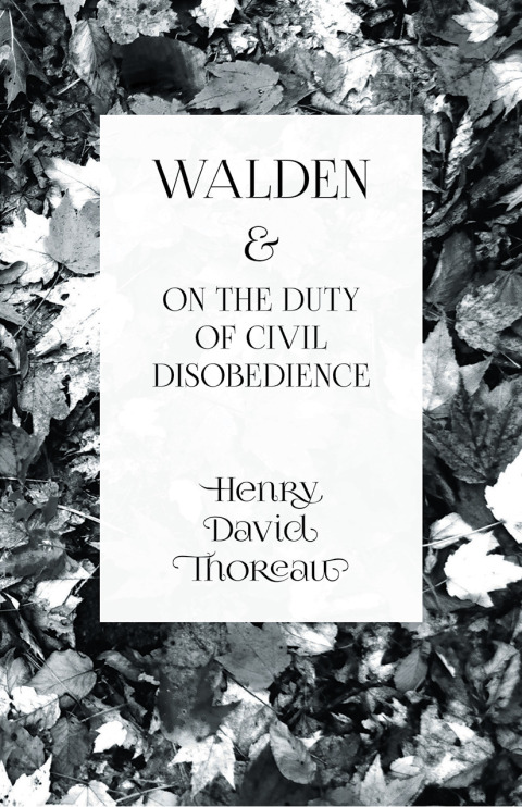 Cover image for book Walden