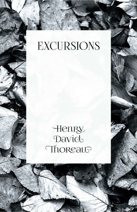 Cover image for book Excursions