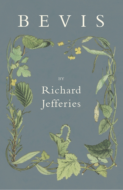 Cover image for book Bevis