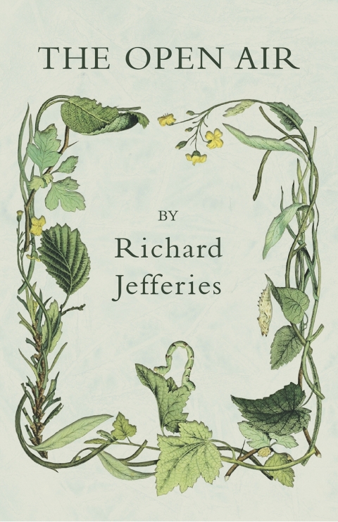Cover image for book The Open Air