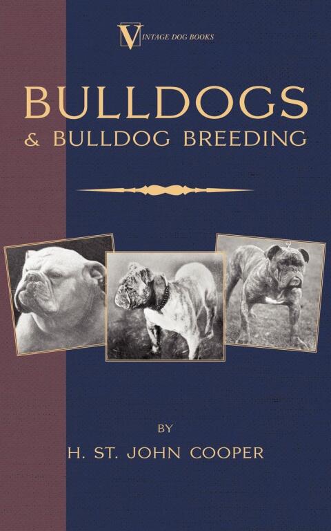 Cover image for book Bulldogs and Bulldog Breeding (A Vintage Dog Books Breed Classic)