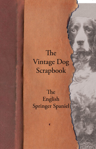 The Vintage Dog Scrapbook - The English Springer Spaniel