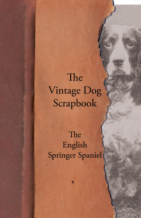 Cover image for book The Vintage Dog Scrapbook - The English Springer Spaniel