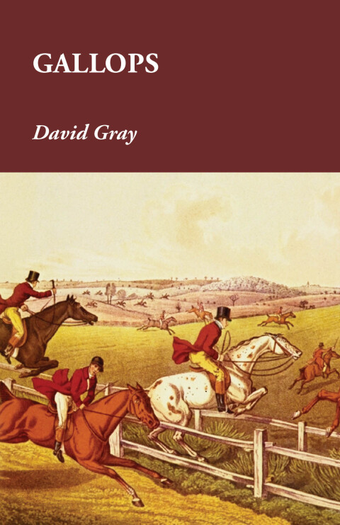 Cover image for book Gallops