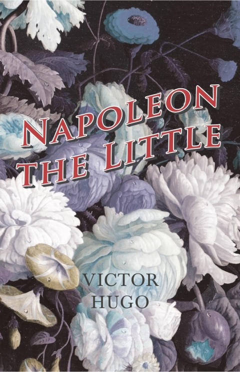 Cover image for book Napoleon the Little