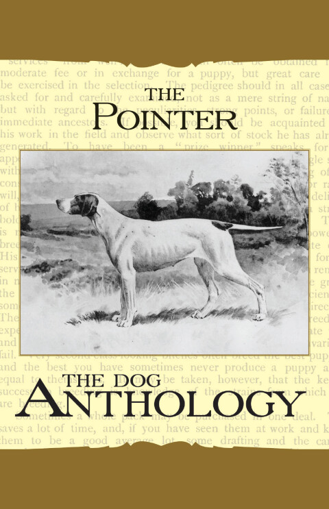Cover image for book The Pointer - A Dog Anthology (A Vintage Dog Books Breed Classic)