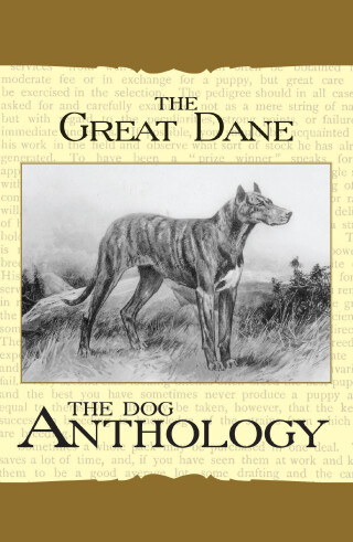 The Great Dane - A Dog Anthology (A Vintage Dog Books Breed Classic)