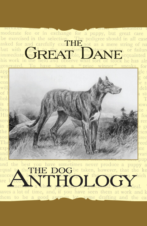 Cover image for book The Great Dane - A Dog Anthology (A Vintage Dog Books Breed Classic)
