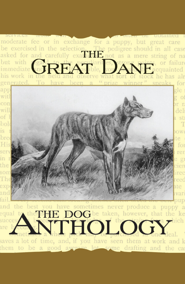 The Great Dane - A Dog Anthology (A Vintage Dog Books Breed Classic)