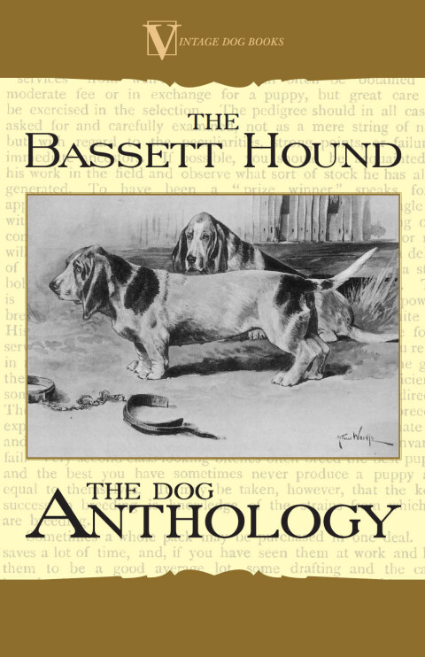 Cover image for book The Basset Hound - A Dog Anthology (A Vintage Dog Books Breed Classic)
