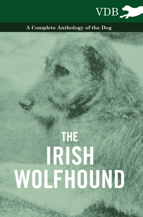 Cover image for book The Irish Wolfhound - A Complete Anthology of the Dog
