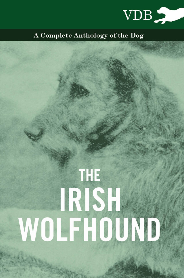 The Irish Wolfhound - A Complete Anthology of the Dog