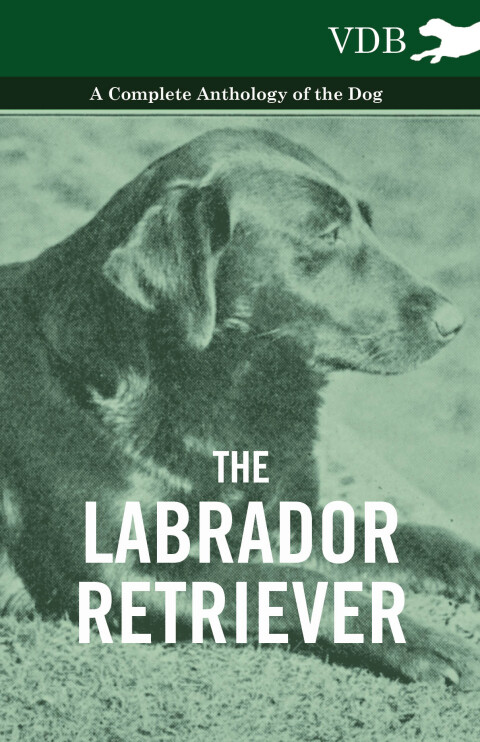 Cover image for book The Labrador Retriever - A Complete Anthology of the Dog