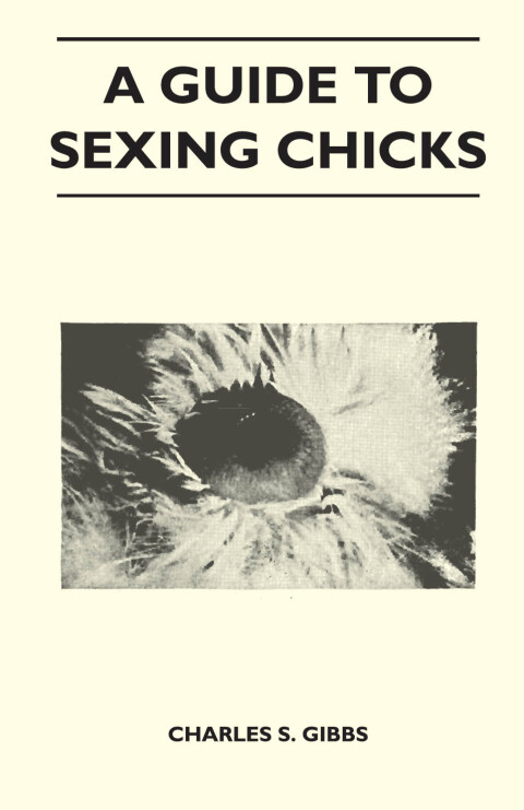 Cover image for book A Guide To Sexing Chicks