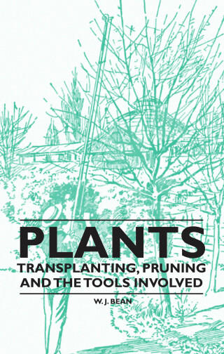 Plants - Transplanting, Pruning and the Tools Involved