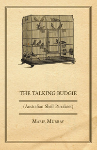 Titelbild: The Talking Budgie (Australian Shell Parrakeet) 9781447410355