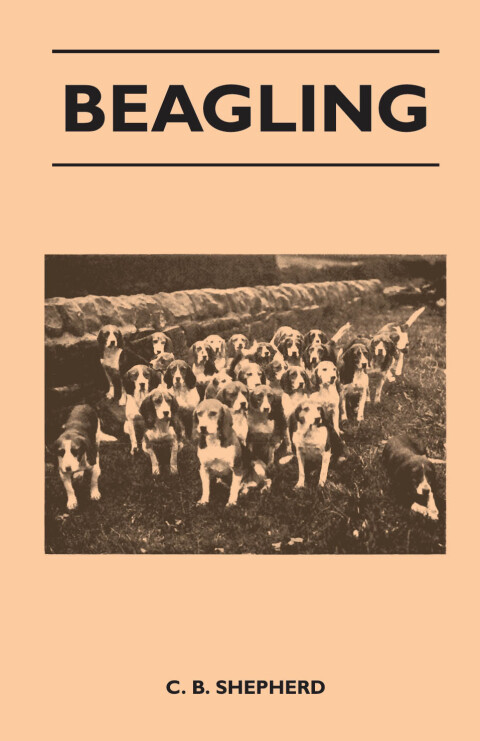 Cover image for book Beagling