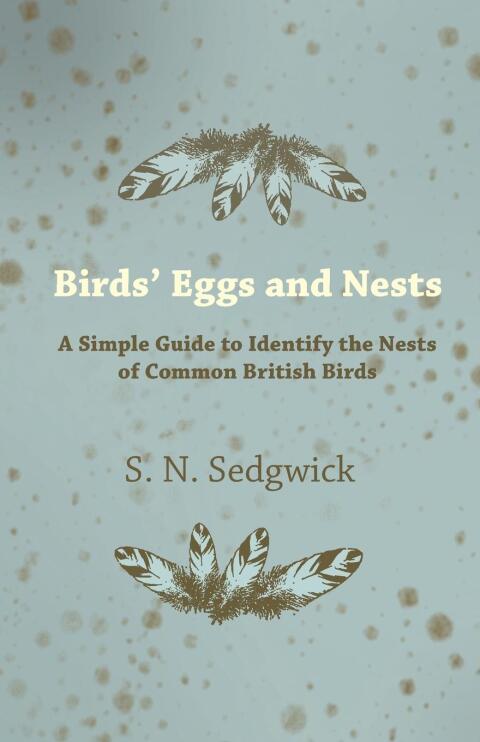 Cover image for book Birds' Eggs and Nests - A Simple Guide to Identify the Nests of Common British Birds