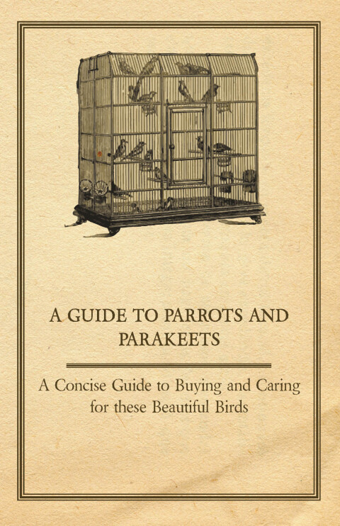 A Guide to Parrots and Parakeets - A Concise Guide to Buying and Caring for These Beautiful Birds 
