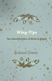 صورة الغلاف: Wing-Tips - The Identification of Birds in Flight 9781447422693