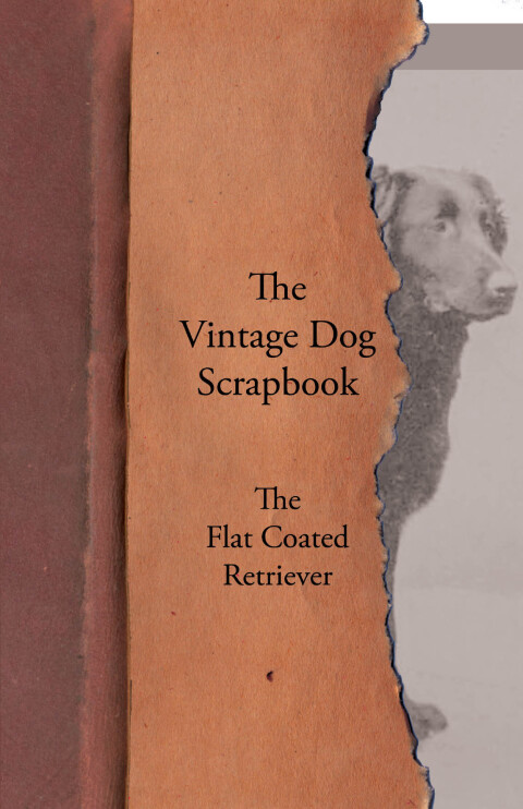 Cover image for book The Vintage Dog Scrapbook - The Flat Coated Retriever
