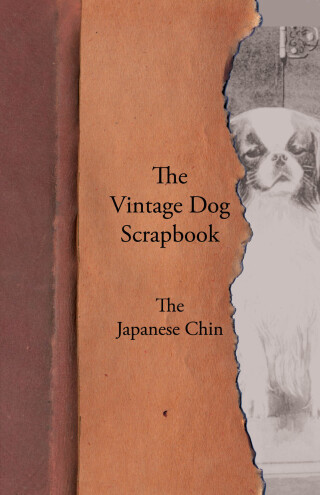 The Vintage Dog Scrapbook - The Japanese Chin
