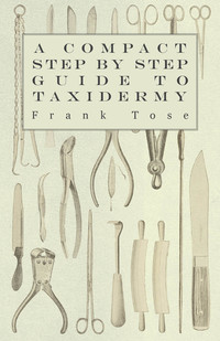 Cover image: A Compact Step by Step Guide to Taxidermy 9781447431800