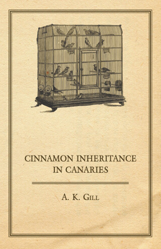 Cinnamon Inheritance in Canaries