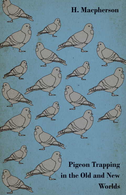 Cover image for book Pigeon Trapping in the Old and New Worlds