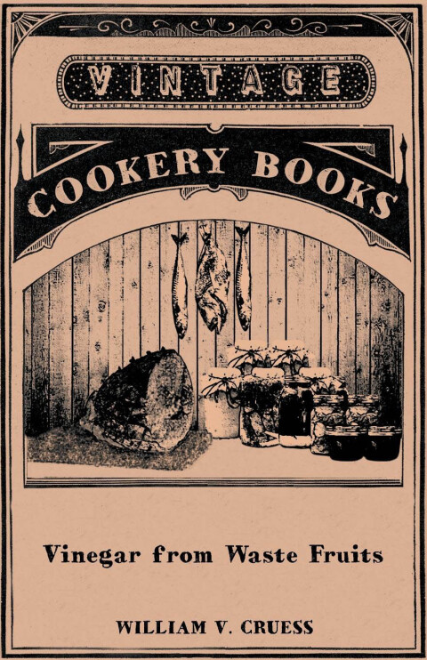 Cover image for book Vinegar from Waste Fruits