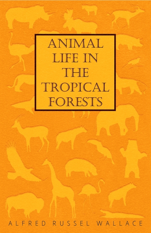 Cover image for book Animal Life in the Tropical Forests