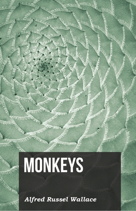 Cover image for book Monkeys