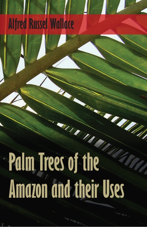 Cover image for book Palm Trees of the Amazon and their Uses