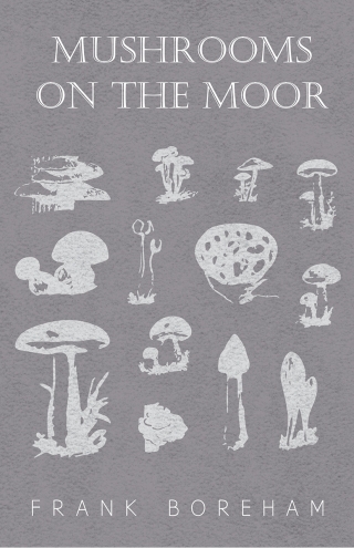 Mushrooms on the Moor