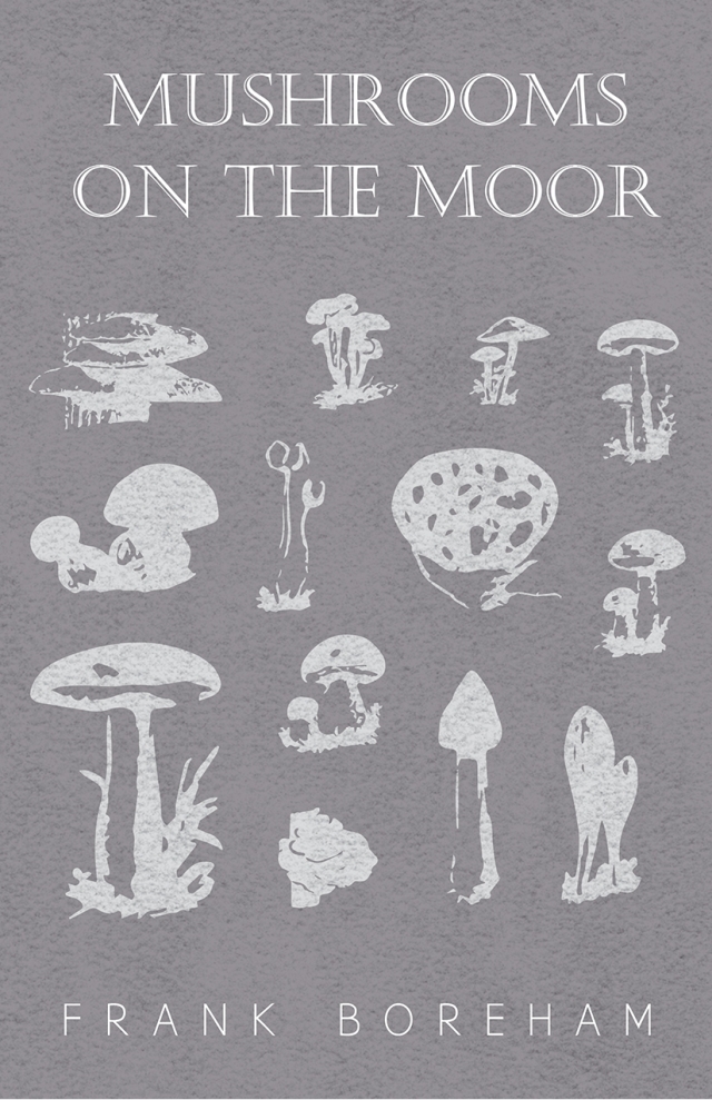 Mushrooms on the Moor