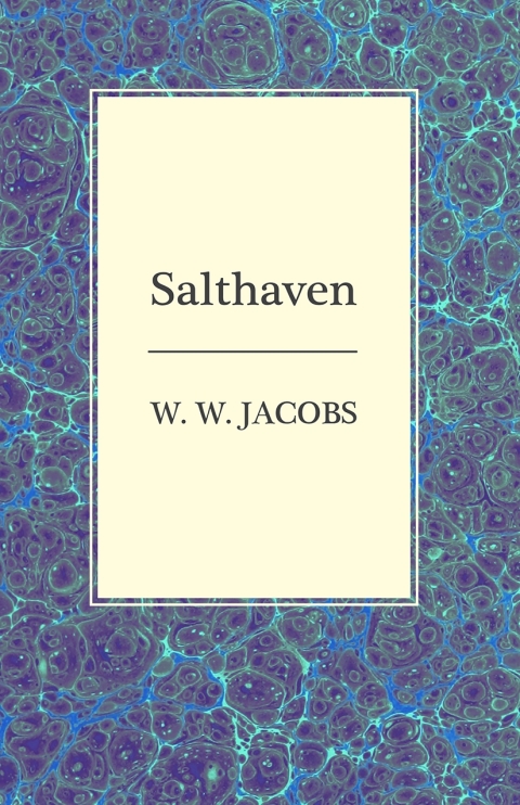 Cover image for book Salthaven