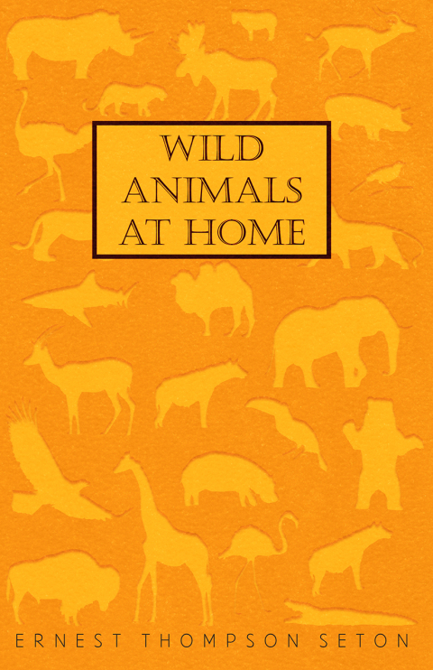 Cover image for book Wild Animals at Home