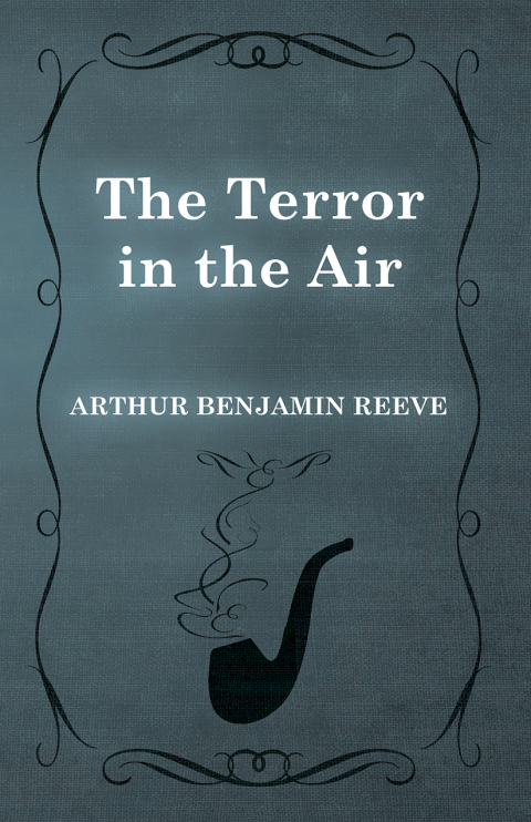 Cover image for book The Terror in the Air