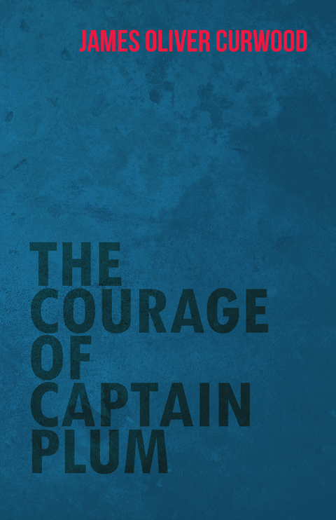 Cover image for book The Courage of Captain Plum