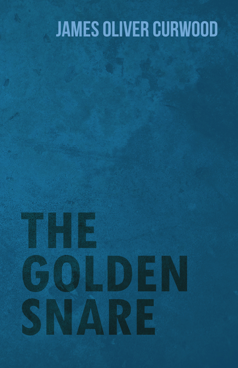 Cover image for book The Golden Snare