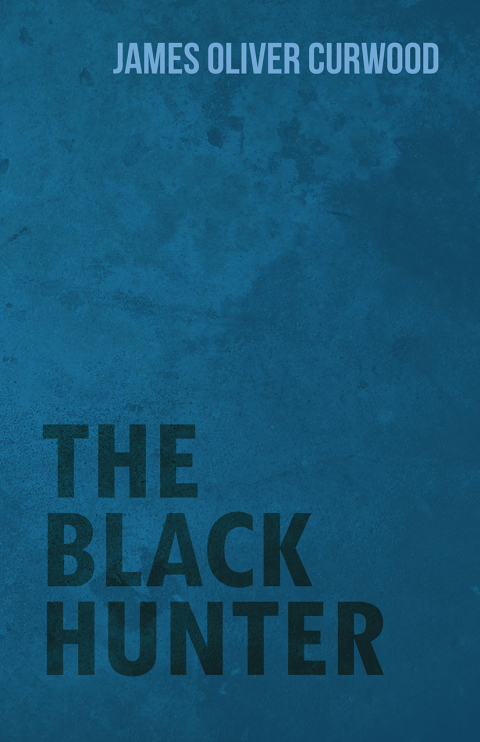 Cover image for book The Black Hunter