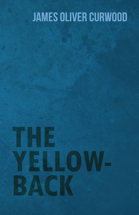 Cover image for book The Yellow-Back