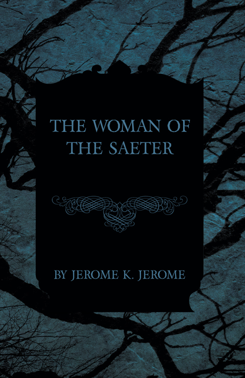 Cover image for book The Woman of the Saeter